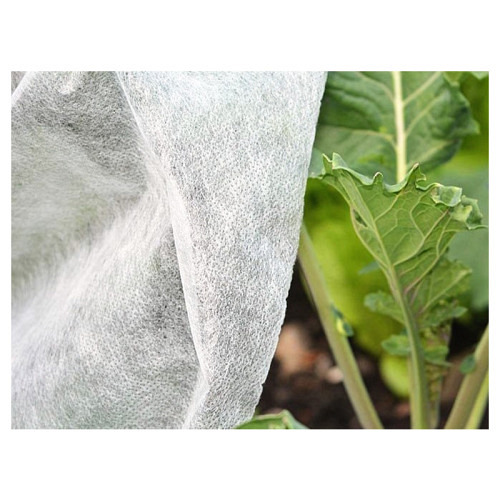Non-tissé AGROSPEED