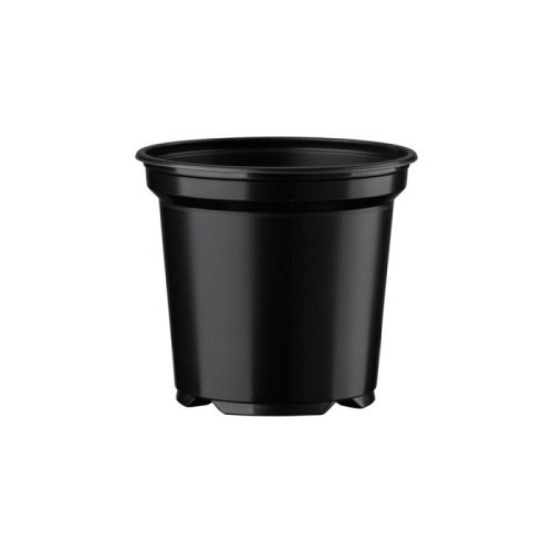 Desch-Container 5° schwarz, Thermoform