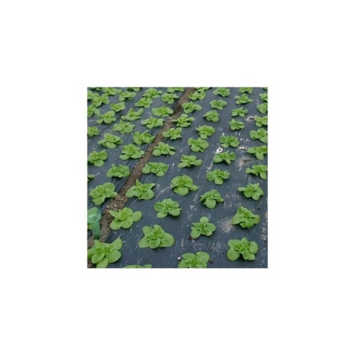 Film de paillage noir 30 µ stretch (fraises)