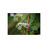 Image 1 de 2