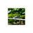Image 2 de 5