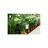 Image 2 de 2