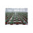 Image 2 de 3
