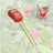 Image 2 de 2