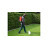 Image 2 de 2